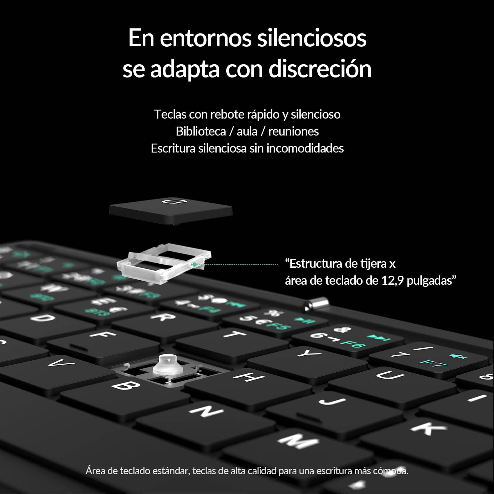 Spanish / Deep Forest Black