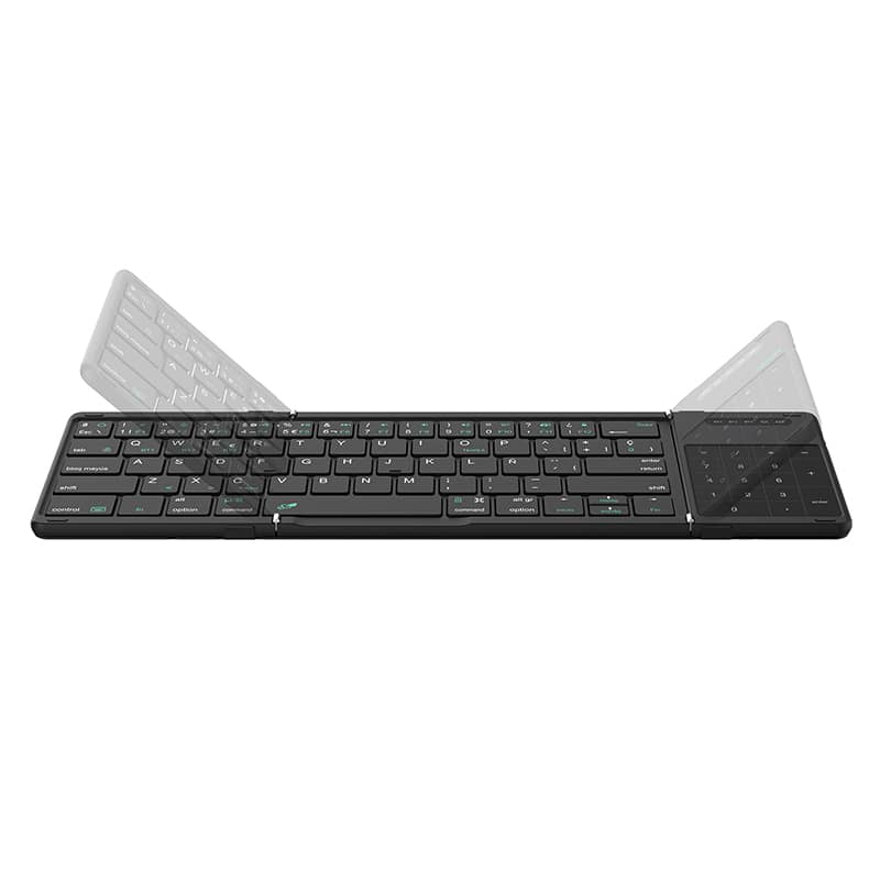 Spanish / Deep Forest Black